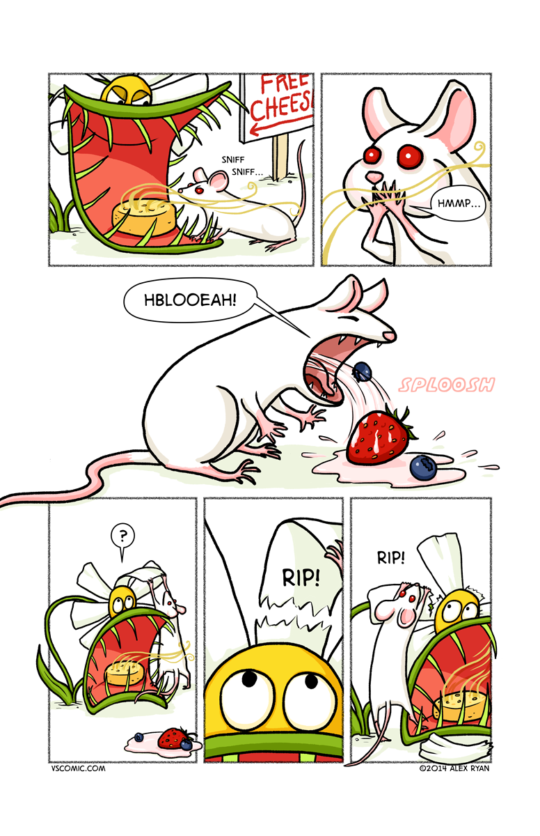 flower-vs-mouse-6