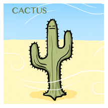 cactus-sm