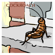cockroach-sm