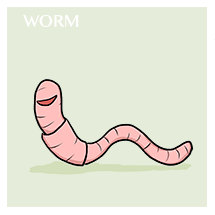worm-sm