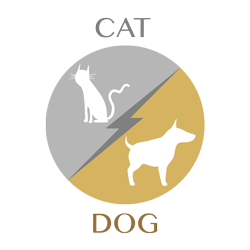 cat vs dog link