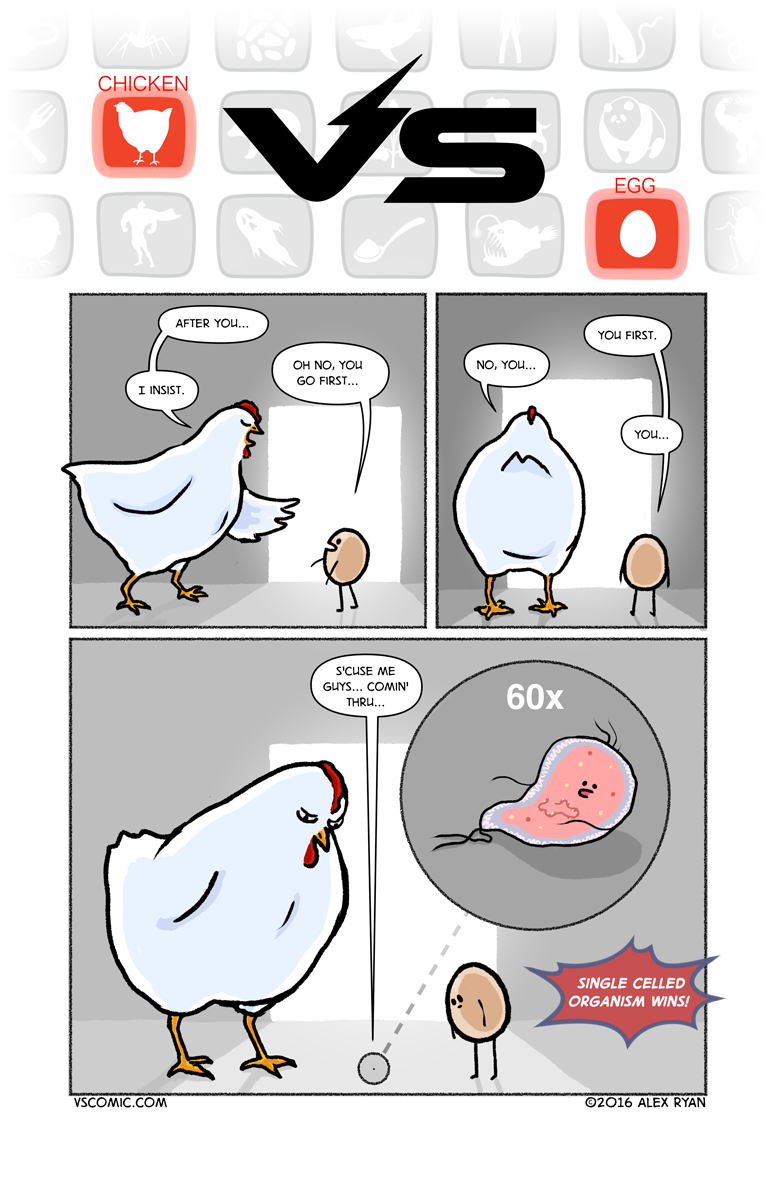 chicken-vs-egg