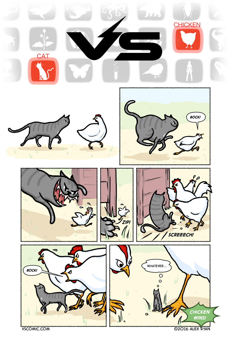 cat-vs-chicken