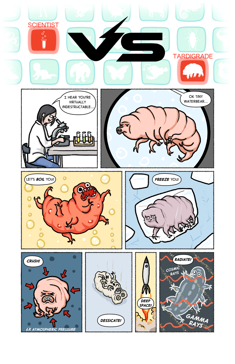 scientist-vs-tardigrade-1