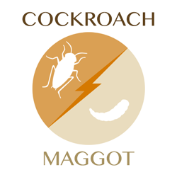 cockroach-maggot