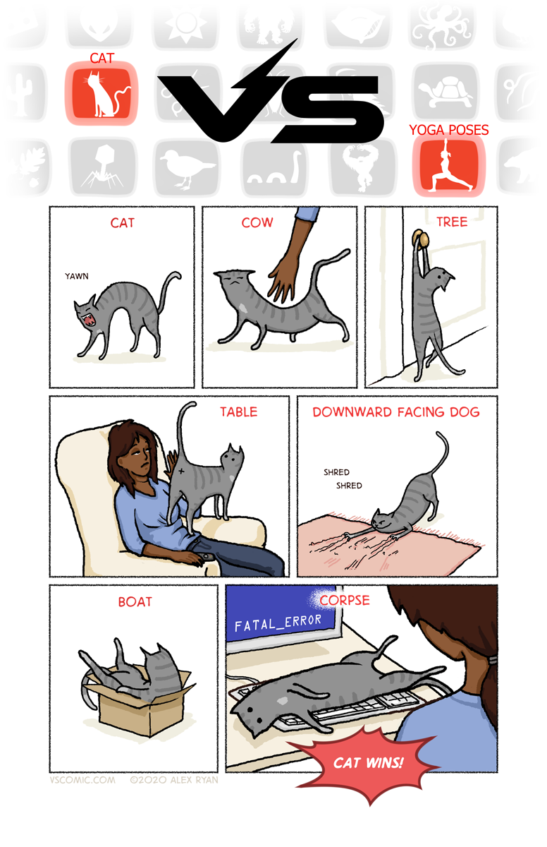 cat-vs-yoga