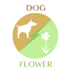 dog-flower