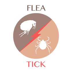flea vs tick link