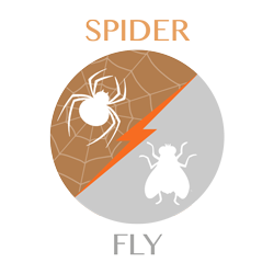 spider vs fly link