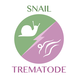 snail vs trematode icon
