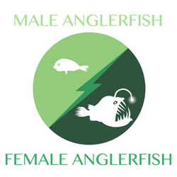 anglerfish-anglerfish