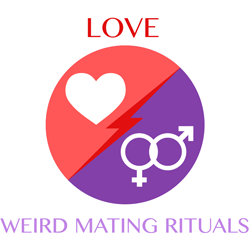 love-weirdmatingrituals