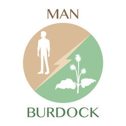 man-burdock