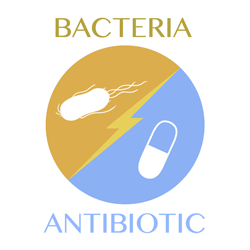 bacteria-antibiotic